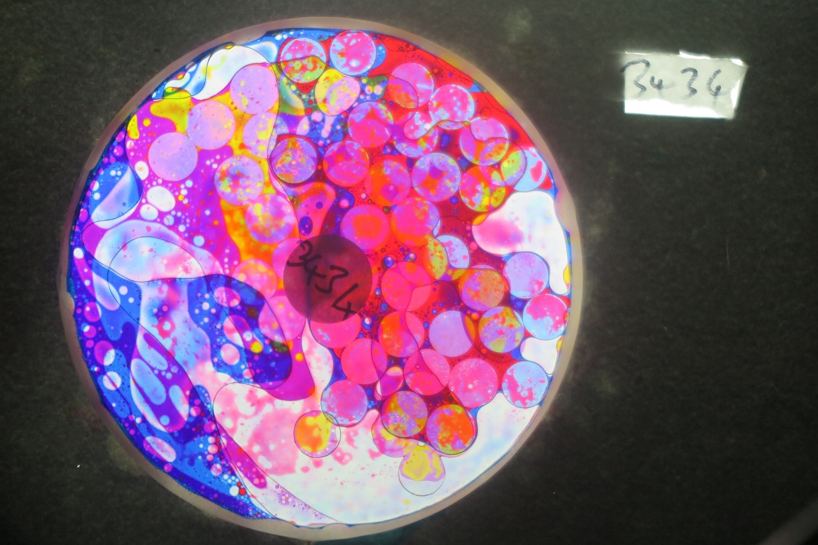 BV3434 bubble vision oil wheel